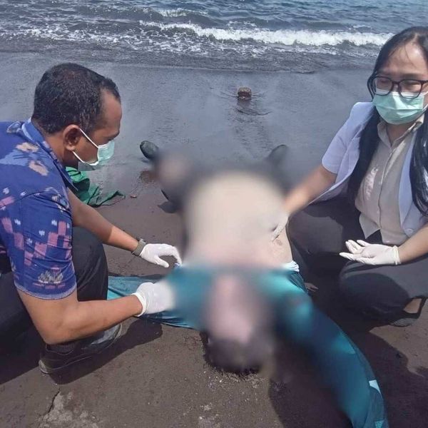 Diving Berujung Tragis, WN Australia Tewas di Perairan Tulamben