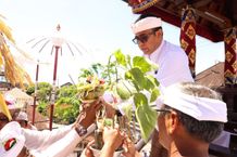 Wali Kota Jaya Negara Hadiri Melaspas Bale Kulkul Banjar Ceramcam Kesiman, Ajak Warga Tingkatkan Srada Bakti kepada Ida Sang Hyang Widhi Wasa mendem pedagingan