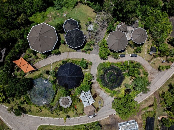 Nuanu Magic Garden