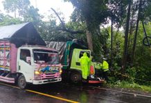 Lepas Kendali di Selemadeg, Truk Hino Ringsek Setelah Tabrak Pohon Perindang Tabrak Pohon