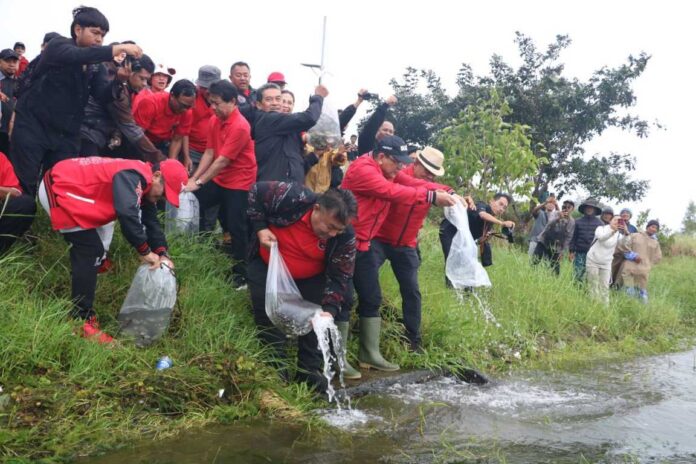 Merawat Pertiwi