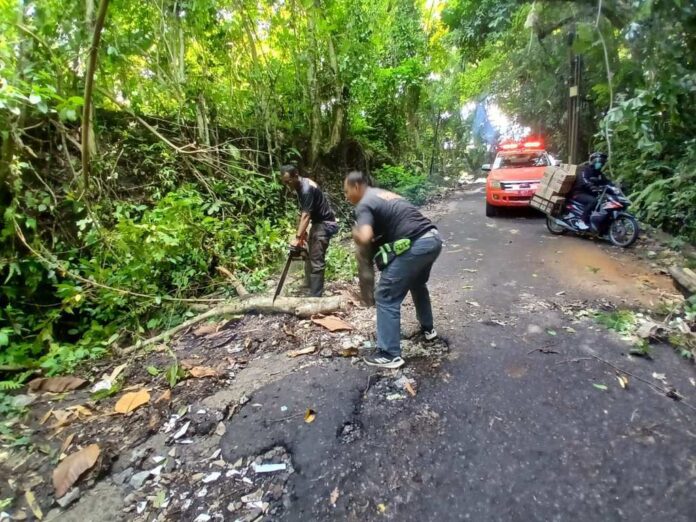 BMKG Ingatkan Potensi Cuaca Ekstrem, Warga Tabanan Diimbau Tingkatkan Kewaspadaan