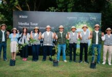 Masuk Tahun Keempat, InJourney Fokus Pariwisata Hijau dan Net Zero Emission InJourney Fokus Pariwisata Hijau dan Net Zero Emission