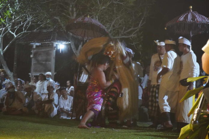 Ngunying “Ganas” di Desa Adat Banjar Bengkel, Antara Bakti, Spiritualitas dan Kehendak Sesuhunan