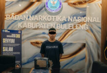 Diduga Jadi Kurir Ganja, Remaja Asal Pegayaman Dibekuk BNNP Bali Tersangka SP (25) asal Pegayaman, Kecamatan Sukasada, Buleleng diamankan BNNK Buleleng di sebuah kos Wilayah Desa Sambangan, Sabtu (17/1/2026). Sumber Foto : Istimewa