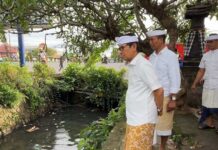 Bupati Badung Pantau Langsung Penanganan Banjir, Normalisasi Tukad Pungut Jadi Prioritas Bupati Wayan Adi Arnawa turun langsung ke lapangan untuk memantau aliran Tukad Pungut di wilayah Jimbaran, Kuta Selatan, Sabtu (3/1/2026). Sumber Foto : Istimewa
