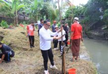 Sinergi Pemkot Denpasar dan Desa Adat Penatih Wujudkan Kebersihan dan Penghijauan Kawasan Pura Beji Desa Adat Penatih Aksi Kebersihan