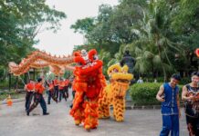 Kecak & Barongsai Dance Show Meriahkan Perayaan Imlek dan Valentine di The Nusa Dua Kecak & Barongsai Dance Show Meriahkan Perayaan Imlek dan Valentine di The Nusa Dua