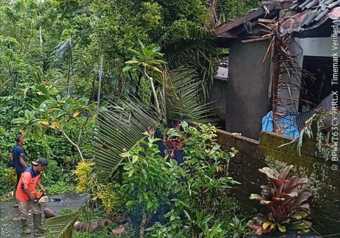 Pohon Tumbang Menimpa Rumah Warga di Dukuh
