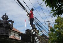 Pemkab Buleleng Tertibkan Kabel Fiber Optik Semrawut Pemkab Buleleng Tertibkan Kabel Fiber Optik Semrawut