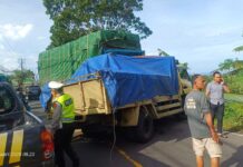 Tabrakan Maut di Soka Kaja, Satu Tewas dan Tiga Luka-luka Tabrakan Maut di Soka Kaja, Satu Tewas dan Tiga Luka-luka