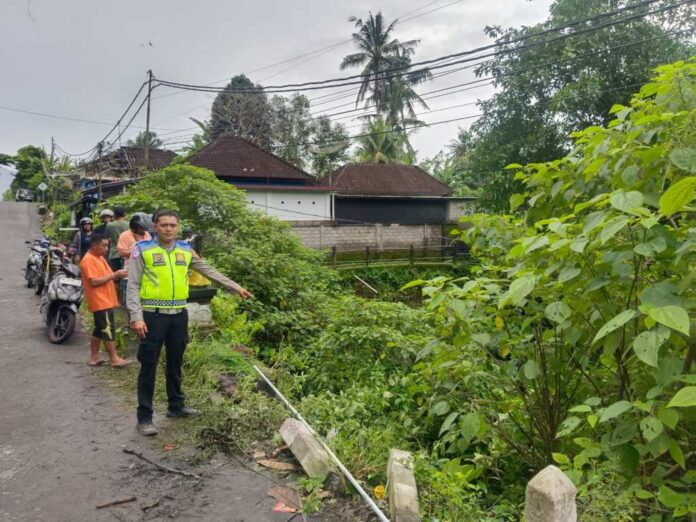 BaliPortalNews_ Terjun Truk Box Terjun ke Jurang di Jembatan Tukad Timbul