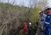 Pertamina Patra Niaga Lakukan Pengecekan Bersama Polairud, Dukung Percepatan Pemulihan Kawasan Mangrove Benoa Pertamina Patra Niaga Lakukan Pengecekan Bersama Polairud, Dukung Percepatan Pemulihan Kawasan Mangrove Benoa