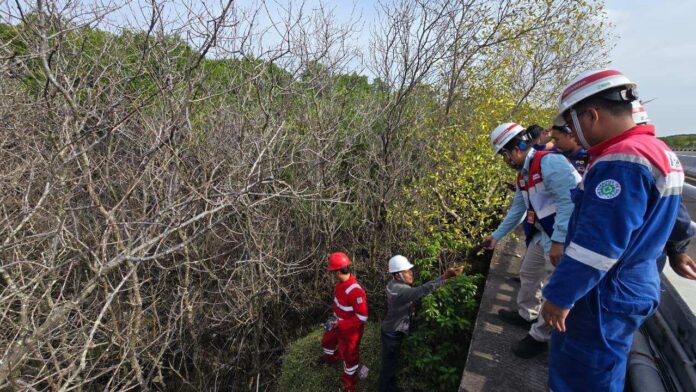 Pertamina Patra Niaga Lakukan Pengecekan Bersama Polairud, Dukung Percepatan Pemulihan Kawasan Mangrove Benoa