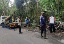 Truk Bermuatan Dedak Terbalik Usai Tak Sanggup Lintasi Jalan Tanjakan Truk Terbalik