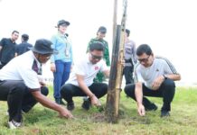 Wawali Arya Wibawa Libatkan Berbagai Elemen dalam Aksi Bersih Pantai dan Tanam Pohon di Sanur Aksi Bersih Pantai dan Tanam Pohon