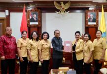 Terima Audiensi WHDI Bali, Gubernur Koster Tekankan Peran Strategis Perempuan Jaga Adat dan Tradisi WHDI Bali