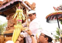 Wawali Arya Wibawa Ikuti Karya Melaspas lan Mendem Pedagingan Pelinggih Pura Segara Giri Wisesa Melaspas lan Mendem Pedagingan
