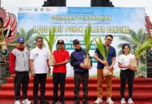 Gubernur Koster dan Perbarindo Tanam 1.000 Bibit Kelapa Daksina di Tukad Unda untuk Lestarikan Budaya Bali Tanam Bibit Kelapa Daksina