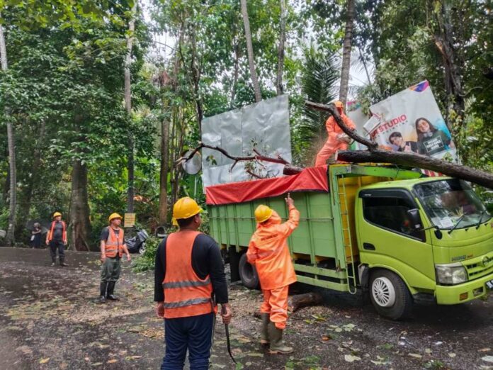 Pohon Tumbang Timpa Truk di Jalur Sanghyang Ambu