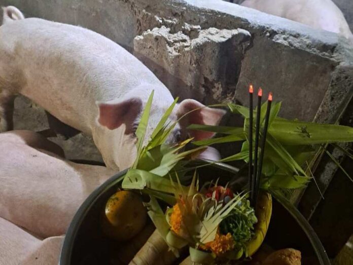 Saat Kasih Jadi Kesadaran dan Tanggung Jawab