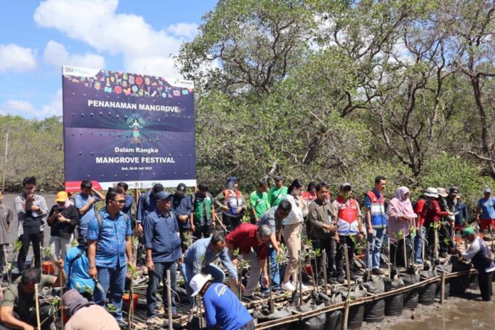BaliPortalNews_ Mangrove Percepatan Rehabilitasi Mangrove Benoa, Pertamina Patra Niaga Libatkan Pakar Lingkungan