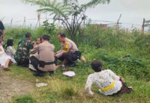 Lebah Hutan Serang 12 Pemedek di Pura Payasan Temukus, Sempat Dievakuasi ke Puskesmas Lebah Hutan Serang 12 Pemedek di Pura Payasan Temukus, Sempat Dievakuasi ke Puskesmas