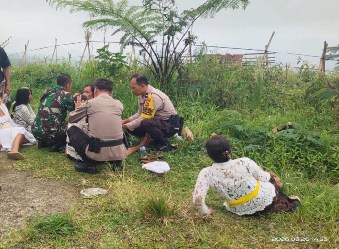 Lebah Hutan Serang 12 Pemedek di Pura Payasan Temukus, Sempat Dievakuasi ke Puskesmas