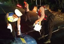 Kecelakaan di Jalur Tengkorak Singaraja–Gilimanuk, Dua Pengendara Motor Kehilangan Nyawa Kecelakaan di Jalur Tengkorak Singaraja–Gilimanuk, Dua Pengendara Motor Kehilangan Nyawa