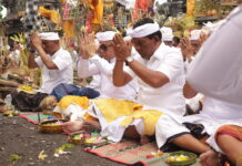 Wali Kota Jaya Negara Hadiri Upacara Melaspas dan Mecaru Rsi Gana di Pura Merajan Agung Kawitan Besakih Upacara Melaspas dan Mecaru Rsi Gana