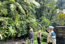 Pencarian Hari Ketiga, Kakek yang Hilang di Gunung Batukaru Belum Ditemukan Pencarian Hari Ketiga, Kakek yang Hilang di Gunung Batukaru Belum Ditemukan