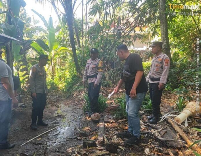 Tertimpa Kelapa, Warga Karangasem Alami Cedera Kepala dan Dilarikan ke RS