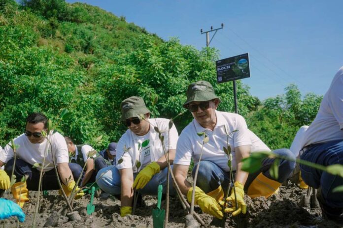 Peringati Hari Bumi, InJourney Perkuat Komitmen Keberlanjutan melalui Program InJourney Green bersama ITDC dengan Rehabilitasi Mangrove di KEK Mandalika