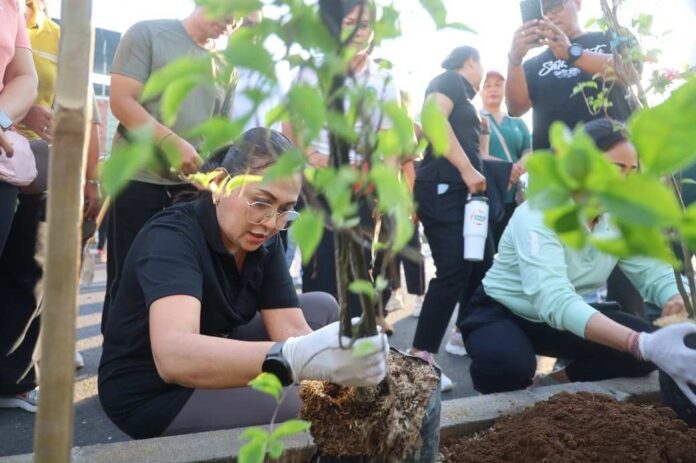 BaliPortalNews_ Penanaman 150 Pohon Bugenvil (4) Ketua TP. PKK Badung, Ny. Rasniathi Adi Arnawa, memimpin penanaman pohon Bugenvil di sepanjang ruas jalan Banjar Pengubengan Kangin, Kerobokan, Sabtu (25/4/2026). Sumber Foto : Istimewa