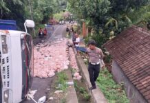 Truk Terguling, Delapan Ton Daging Ayam Potong Tumpah ke Jalan Truk Terguling, Delapan Ton Daging Ayam Potong Tumpah ke Jalan