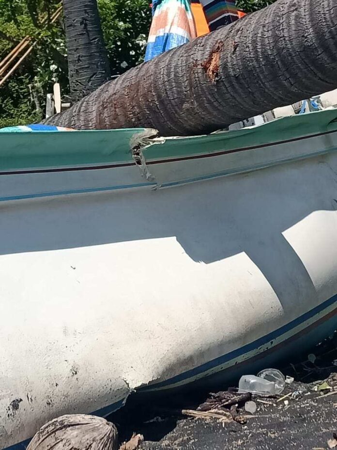 Diterjang Angin Kencang, Dua Jukung Nelayan di Bunutan Hancur Tertimpa Pohon Kelapa