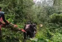 Hilang 5 Hari, Lansia di Rendang Ditemukan Meninggal di Dasar Jurang Hilang 5 Hari, Lansia di Rendang Ditemukan Meninggal di Dasar Jurang