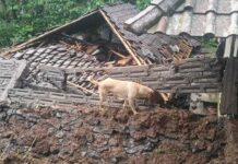 Tanah Longsor Menimpa Rumah Warga di Belimbing Anyar, Kerugian Material Rp30 Juta Tanah Longsor