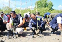 Gubernur Koster Nilai Gerakan Mangrove Kemendagri Sejalan dengan Program Strategis Pemprov Bali Gerakan Mangrove