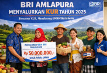 Dorong Kapasitas Pelaku UMKM dan Kemajuan Ekonomi Daerah, BRI Branch Office Amlapura Salurkan KUR Rp 604 Miliar Hingga Desember 2025 Dorong Kapasitas Pelaku UMKM dan Kemajuan Ekonomi Daerah, BRI Branch Office Amlapura Salurkan KUR Rp 604 Miliar Hingga Desember 2025