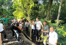 Jaga Kelestarian Alam, PHRI Gianyar Tanam Pohon di Monkey Forest Ubud Jaga Kelestarian Alam, PHRI Gianyar Tanam Pohon di Monkey Forest Ubud