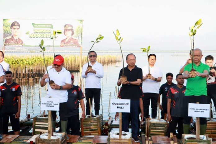 Kolaborasi Hijau