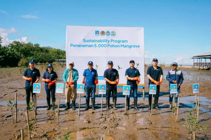 ACC Tanam 5 Ribu Bibit Mangrove di Pontianak