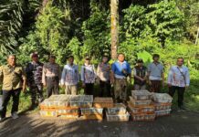 Bus Selundupkan 1.700 Burung Digagalkan di Padangbai, Langsung Dilepasliarkan Bus Selundupkan 1.700 Burung Digagalkan di Padangbai, Langsung Dilepasliarkan