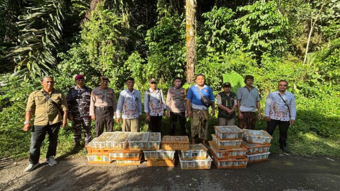 Bus Selundupkan 1.700 Burung Digagalkan di Padangbai, Langsung Dilepasliarkan
