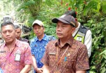 Nihil Penawaran, Empat Proyek Jalan PSD Karangasem Gagal Tender Nihil Penawaran, Empat Proyek Jalan PSD Karangasem Gagal Tender