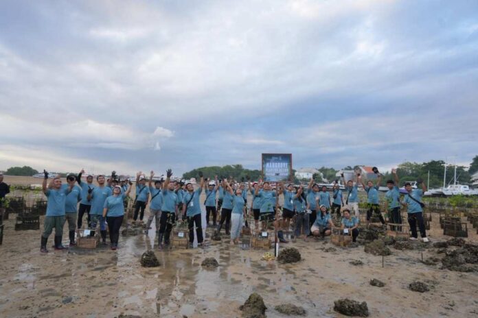 BaliPortalNews_ ITDC U Tanam 250 Bibit Mangrove, ITDC Nusantara Utilitas Perkuat Komitmen Pelestarian Ekosistem Pesisir