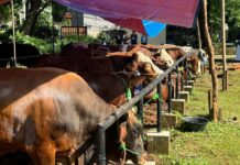 JNE Rayakan Idul Adha 1447 H dengan Semangat Berbagi dan Promo Spesial JNE Rayakan Idul Adha 1447 H dengan Semangat Berbagi dan Promo Spesial