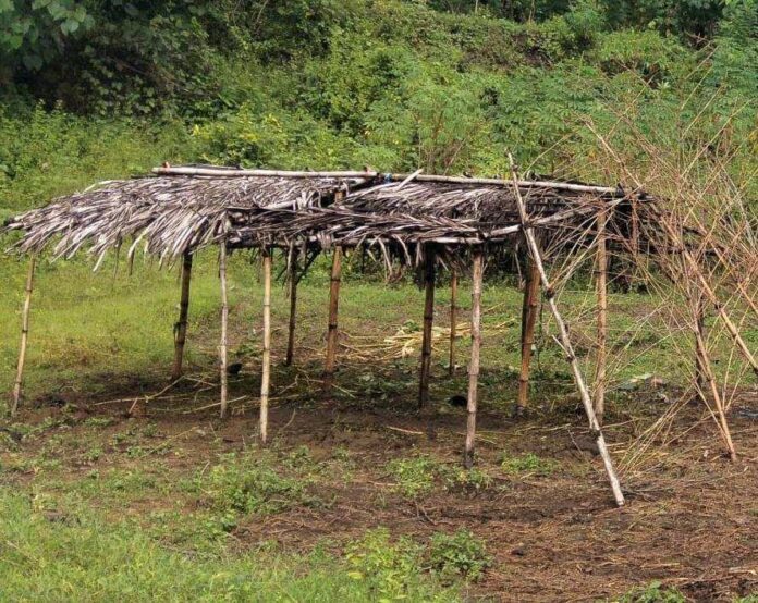 BaliPortalNews_ Sapi Hilang Lagi Sapi Hilang di Abang, Polisi Intensifkan Penyelidikan dan Imbau Peternak Waspada