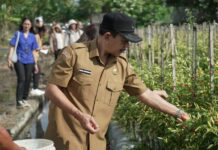 Jaga Stabilitas Harga Jelang Idul Adha, Galungan dan Kuningan, TPID Badung Tinjau Sentra Pangan Jaga Stabilitas Harga Jelang Idul Adha, Galungan dan Kuningan, TPID Badung Tinjau Sentra Pangan